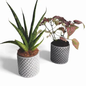 Tuska | Blumentopf Ø=8cm aus Beton