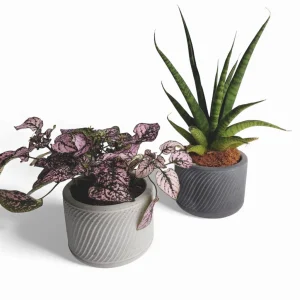 Sukuri | Blumentopf Ø=10cm aus Beton