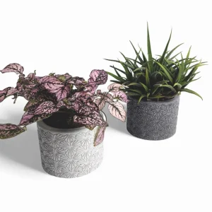 Tikko | Blumentopf Ø=10cm aus Beton