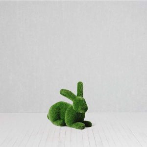 Hase liegend